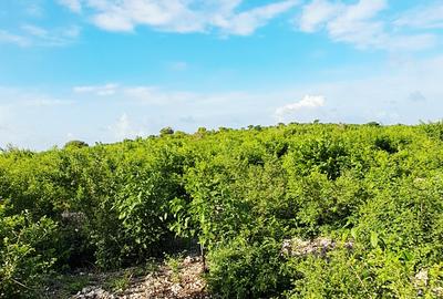 Land at Watamu - 4