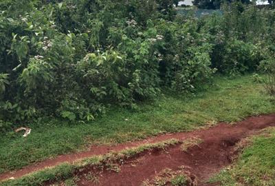 2 ac Land at Limuru Rd - 2