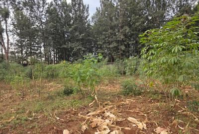 Land at Thindigua - 2