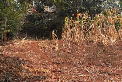 0.25 ac Land in Nyeri