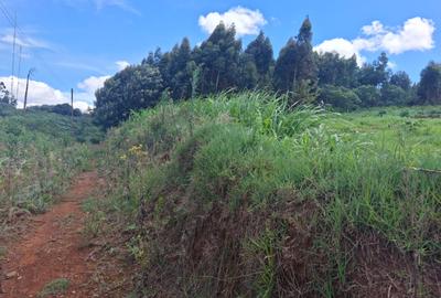 1 ac Land in Limuru Town - 2