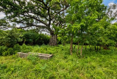 22 ac Land at Kondutsi - 3