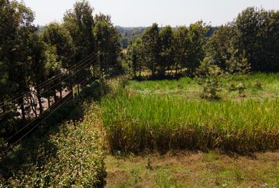 1 ac Land in Karen - 2