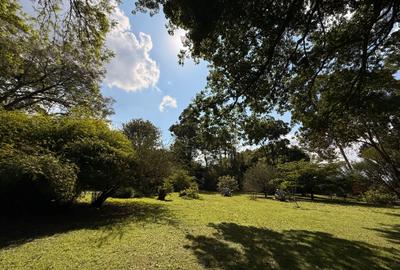 Land at Ridgeways Mall - 2