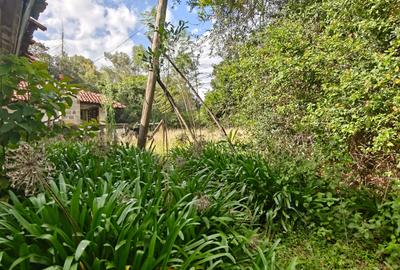 5 ac Land in Karen - 3