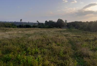 0.5 ac Residential Land in Nanyuki - 4