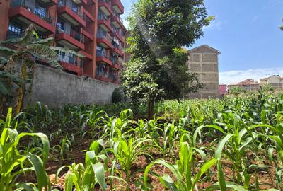 Commercial Land in Ruaka - 4
