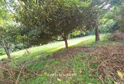 1.1 ac Land in Runda - 2
