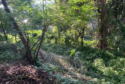 4.3 ac Land in Muthaiga