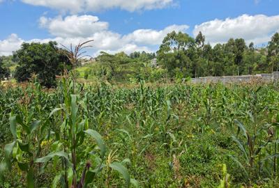 Land at Kibiko - 2