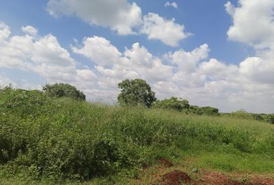 25 ac Land at Off Paradise Lost Road