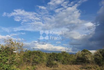 10 ac Land in Nanyuki