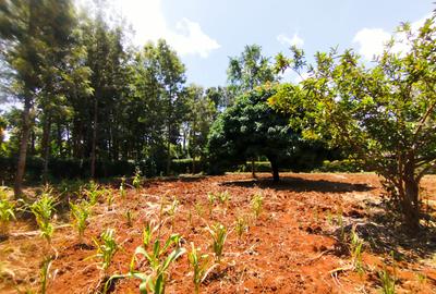 Land in Kiambu Road - 4