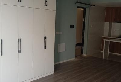 Studio Apartment with Gym at Off Lenana Road - 2