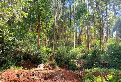 1 ac Residential Land at Muchatha