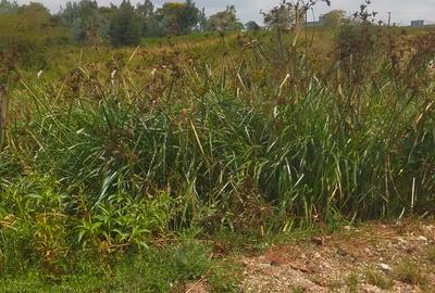 0.5 ac Residential Land at Runda Evergreen