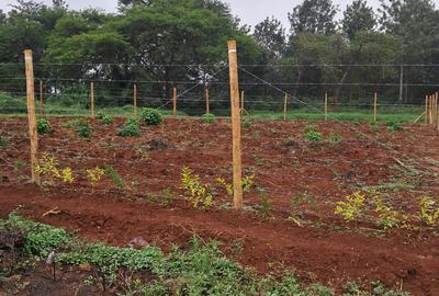 0.1000 ha Residential Land in Tatu City