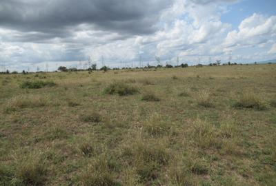 Land at Ngelani