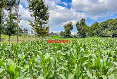 7.5 ac Land in Kikuyu Town