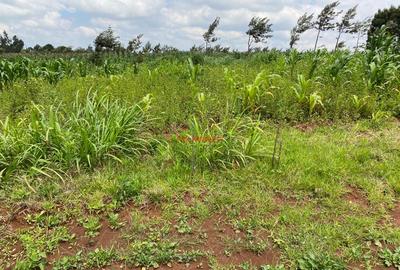 0.05 ha Residential Land in Kikuyu Town