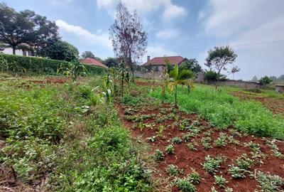 Residential Land at Pan African Insurance Avenue - 4