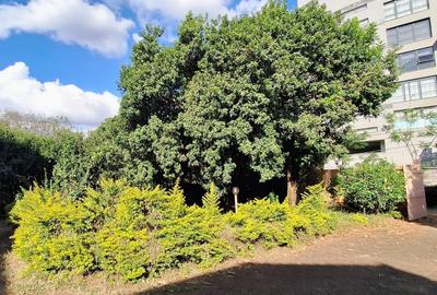 0.44 ac Commercial Land at Westlands - 2