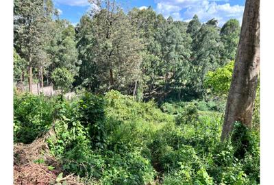 Residential Land in Kitisuru