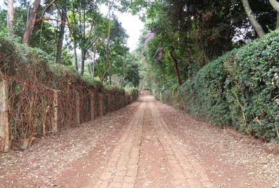 4 Bed House with En Suite at Runda Groove - 3