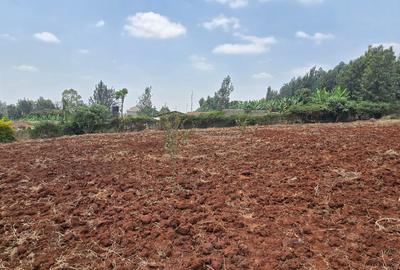 Land in Thindigua - 3