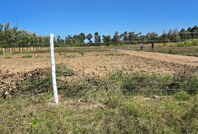 505 ac Land at Maiyan Road - 4