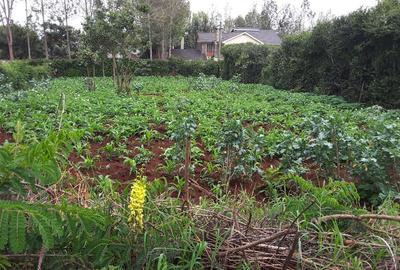 0.25 ac Residential Land in Ngong