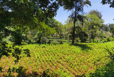 Land in Kitisuru