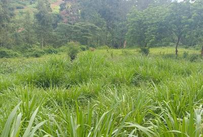 Commercial Land at Kiambu