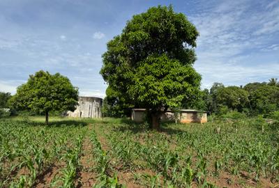 Land in Kikambala