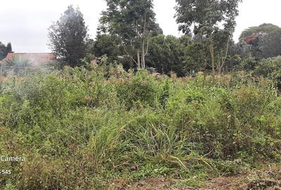 Commercial Property in Nyari - 4