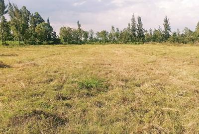 Residential Land at Ngata
