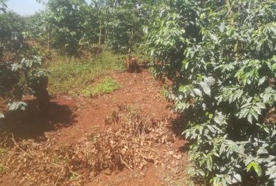 550 ac Land at Kiambu County