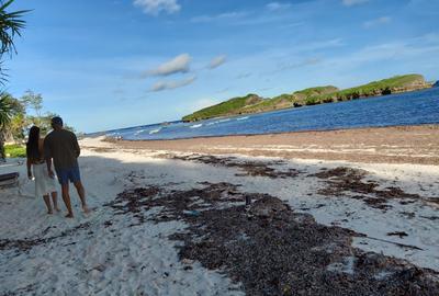 4.5 ac Land at Paparemo - 4