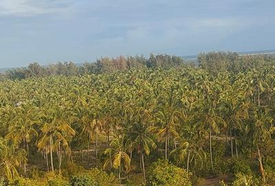 0.05 ha Land at Gede Palms Estate