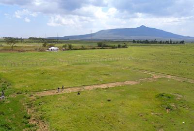 Residential Land in Naivasha