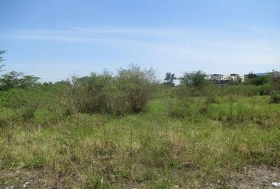 23,796 m² Commercial Land at Nyasa Road