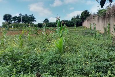 Residential Land in Runda