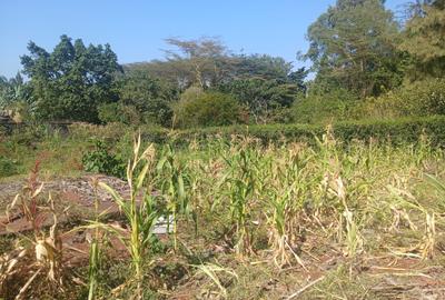 0.5 ac Land in Nyari - 2