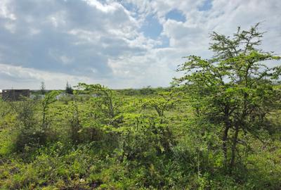 0.125 ac Land at Sakuda - 4