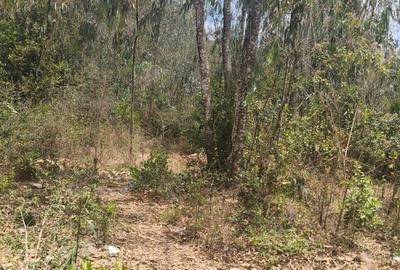 Commercial Land at Karen - 3