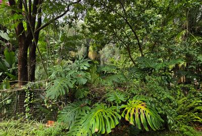 4 Bed House with Garden in Spring Valley - 2