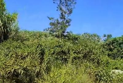 Residential Land at Runda Paradise - 2