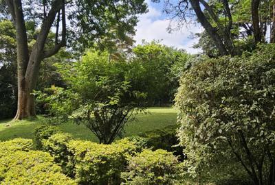 4 ac Land at Mbagathi Ridge - 2