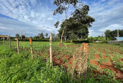 0.5 ac Residential Land in Nyeri - 2