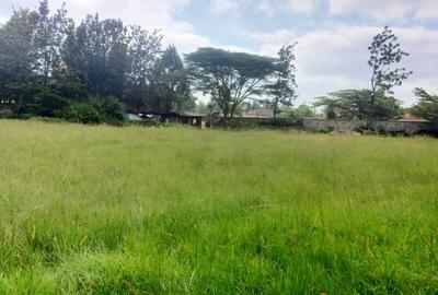 Land at Windy Ridge